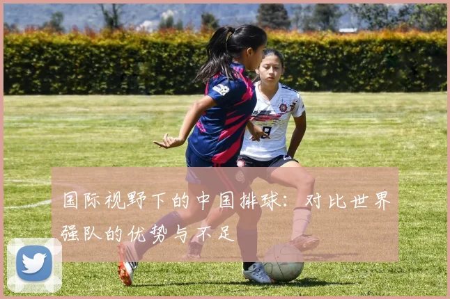 国际视野下的中国排球：对比世界强队的优势与不足