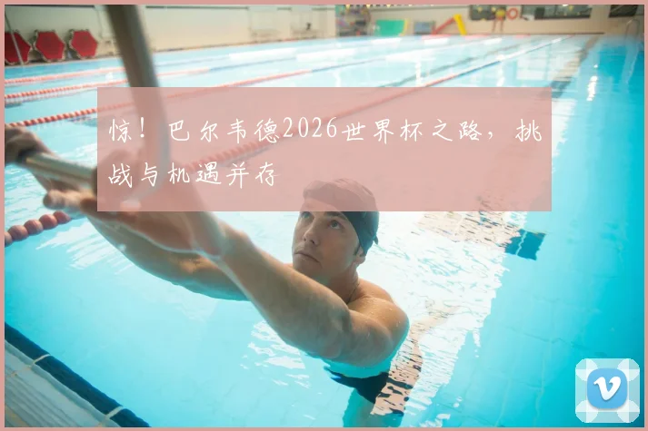 惊！巴尔韦德2026世界杯之路，挑战与机遇并存
