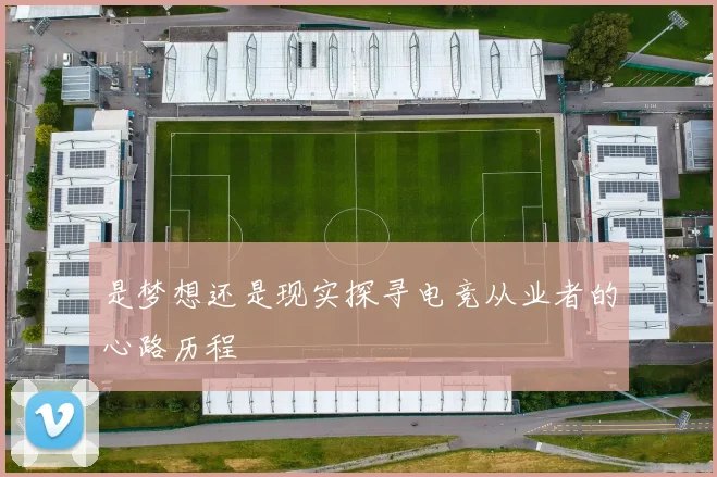 是梦想还是现实探寻电竞从业者的心路历程