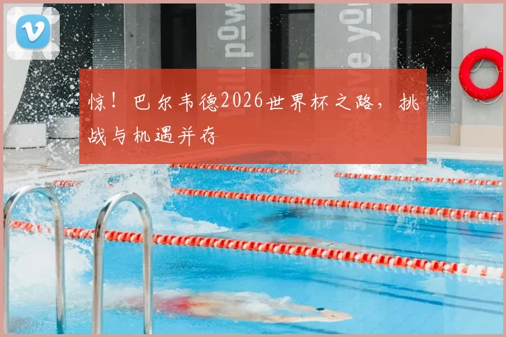 惊！巴尔韦德2026世界杯之路，挑战与机遇并存