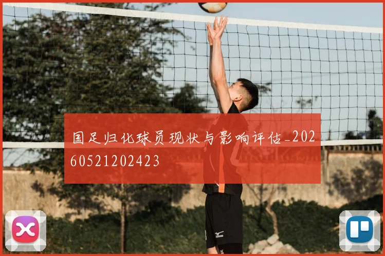 国足归化球员现状与影响评估_20260521202423