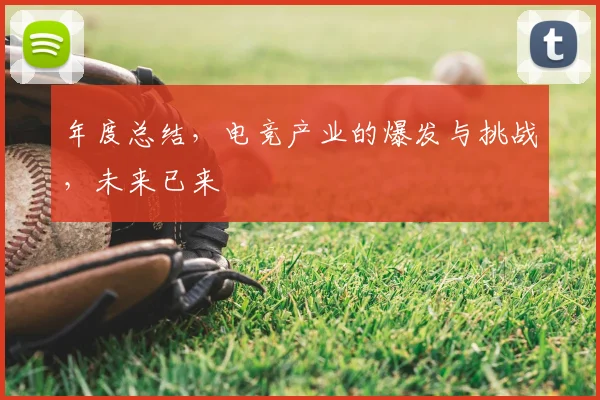 年度总结，电竞产业的爆发与挑战，未来已来